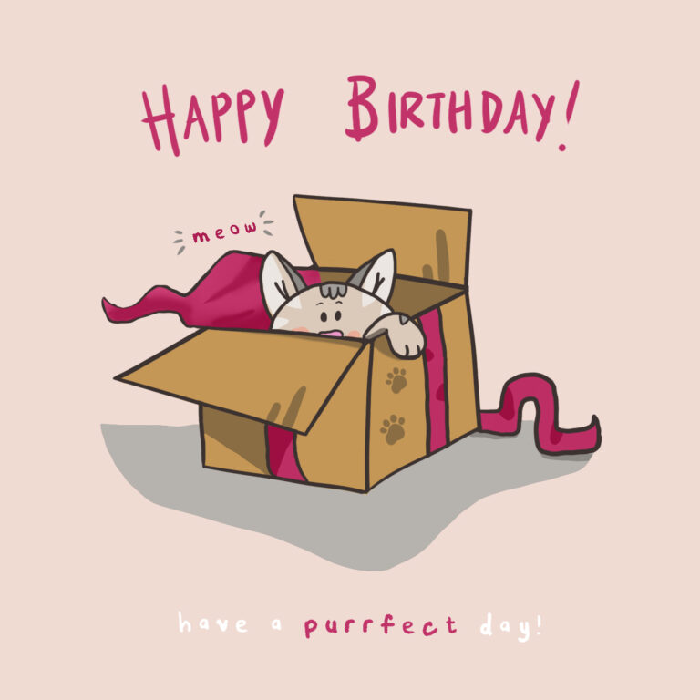 birthday cat